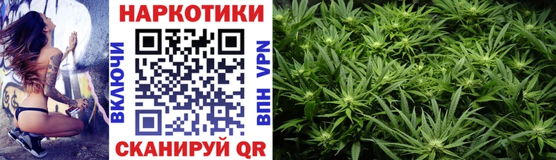 Что такое Пошехонье NBOMe  Каннабис  Меф  Псилоцибиновые грибы  ГАШ  A-PVP 