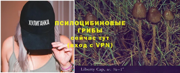 эйфоретик Осташков