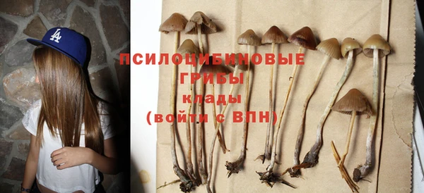 мет Нягань