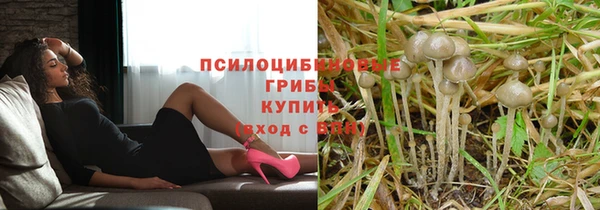 эйфоретик Осташков